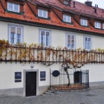 13.Maribor – najstarsi vinic sveta je v Maribore