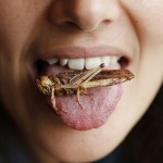 5 kobylky_jedle_jedlo_zena_brusel_12_reuters