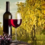 wine,-bottle,-cup,-grapes,-vineyard-172518