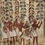 1 Egypt a vino