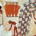 1 egypt a vino 2