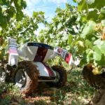 11 449422_le-robot-vigneron-wall-ye-v-i-n-le-13-septembre-2012-a-chalon-sur-saone