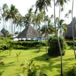 pixabay_zanzibar3