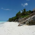 pixabay_zanzibar4