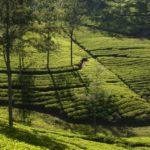 Sri Lanka_Mal B_visualhunt.com