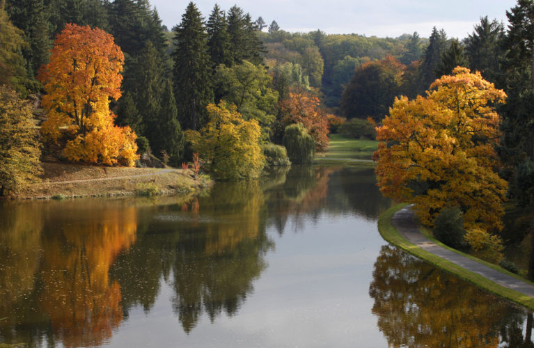 pruhonice_park-767x500 Prhonice