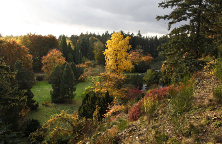 Pruhonický park