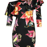 saty-sugarbird-2