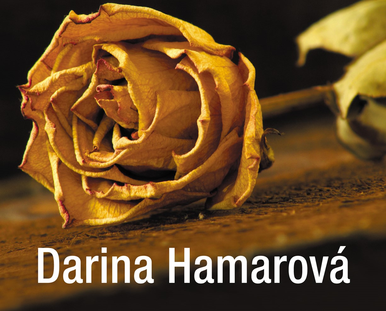 slzy-anjela Slzy anjela z pera úspešnej slovenskej autorky Dariny Hamarovej