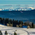 orava-snow_oravska-lesna_zasnezena-krajina_small