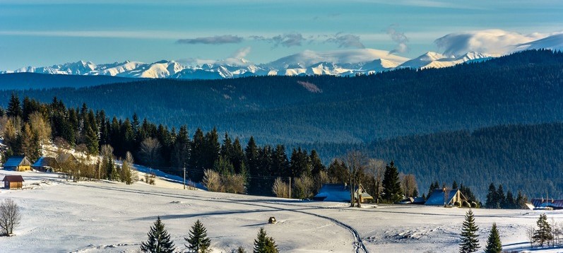 orava-snow_oravska-lesna_zasnezena-krajina_small Orava Snow