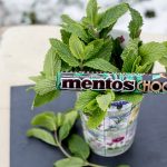 Mentos Choco Mint s matou
