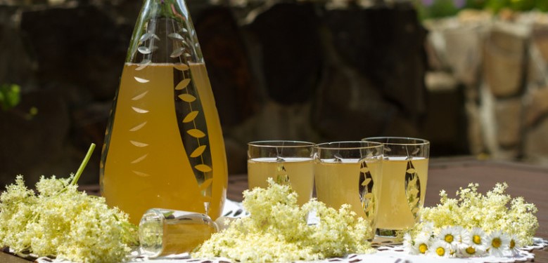 bazový sirup a bazová limonáda
