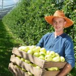 ovocie z BONI FRUCTI Dunajská Lužná 4