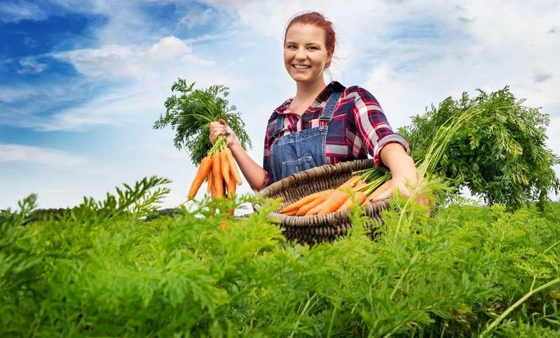 4 vitamínové bomby na 1 tanieri 4 vitamínové bomby na 1 tanieri
