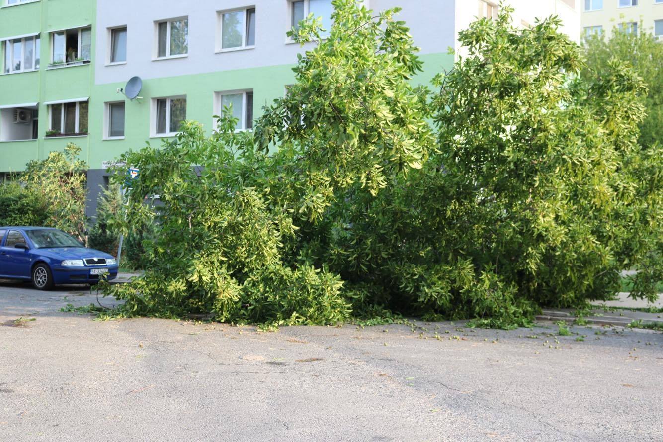 Štvrtková veterná smršť
