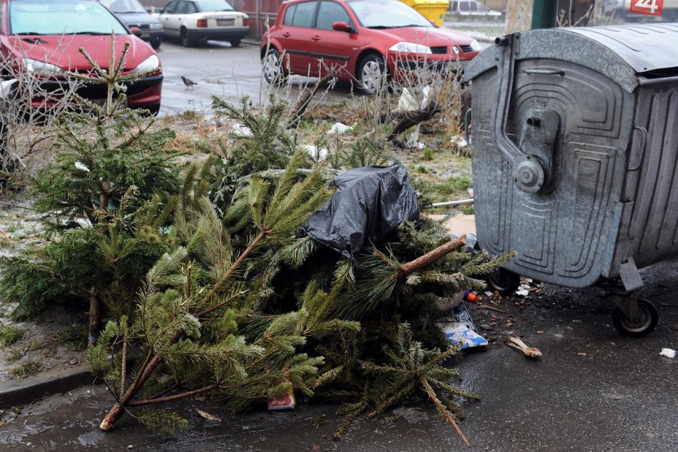 recyklácia vianočných stromčekov