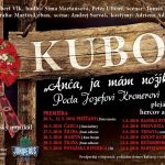Kubo vizual m