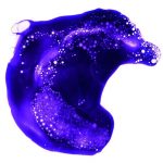 BoldColorWash_Purple
