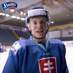 Adam Lis╠îka