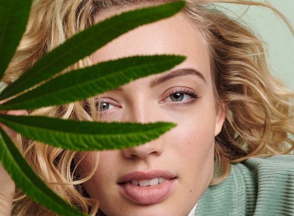 Canabis sativa oil_image