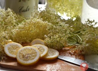 Urobte si bazovú limonádu alebo sirup