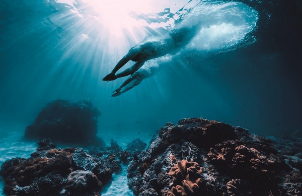 Senses Marine_image small