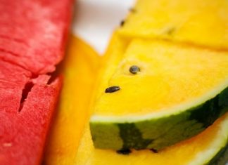 Melón náš každodenný