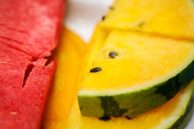 zlty-melon-Citrullus-lanatus