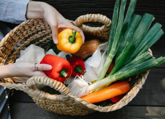 Integrovaná produkcia – cesta k ekologickému pestovaniu a mimoriadne kvalitným plodinám zo Slovenska