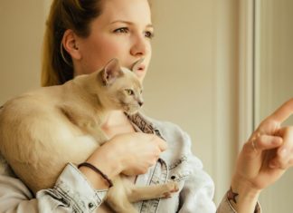 Parazit toxoplasma môže zapríčiniť podľa výskumov väčšiu sexuálnu atraktivitu a štíhlosť.