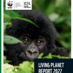 Front Cover_LPR 2022