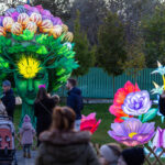 Foto park hlava