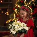 2025_Poinsettia_03000_Traditional_Christmas_Spirit_35