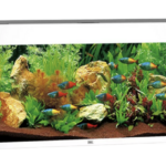 akvarium(1)