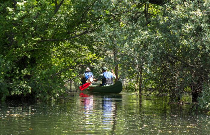 02 Člnky na mieste Zlatna greda v oblasti Baranja ZDROJ foto CNTB Nina Djurdjević
