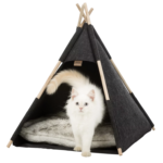 mačka_stan_Super zoo